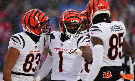 Cincinnati Bengals Super Bowl Odds: How They Got Here.